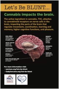 Cannabis Campaign Poster 3